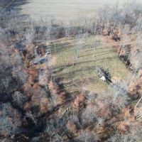 Land For Sale with a Cabin in Parke County IN 80 Acres - images 3