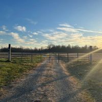 Land For Sale with a Cabin in Parke County IN 80 Acres - images 4