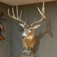 78 Acre Illinois Hunting Property with Home for Sale Jersey County images 3