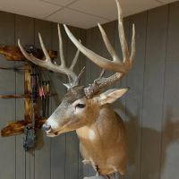78 Acre Illinois Hunting Property with Home for Sale Jersey County images 4
