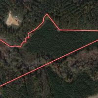 20 Acres of Timber Residential and Hunting Land for Sale in Nash County NC