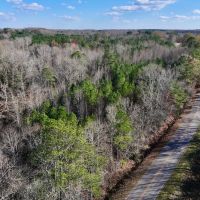 20 Acres of Timber Residential and Hunting Land for Sale in Nash County NC images 3