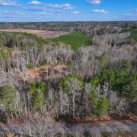 20 Acres of Timber Residential and Hunting Land for Sale in Nash County NC images 4