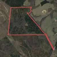 70.28 acres of Hunting and Timberland For Sale in Granville County NC