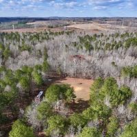 70.28 acres of Hunting and Timberland For Sale in Granville County NC images 2