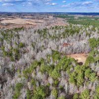70.28 acres of Hunting and Timberland For Sale in Granville County NC images 3