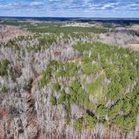 70.28 acres of Hunting and Timberland For Sale in Granville County NC images 4