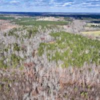 70.28 acres of Hunting and Timberland For Sale in Granville County NC images 5