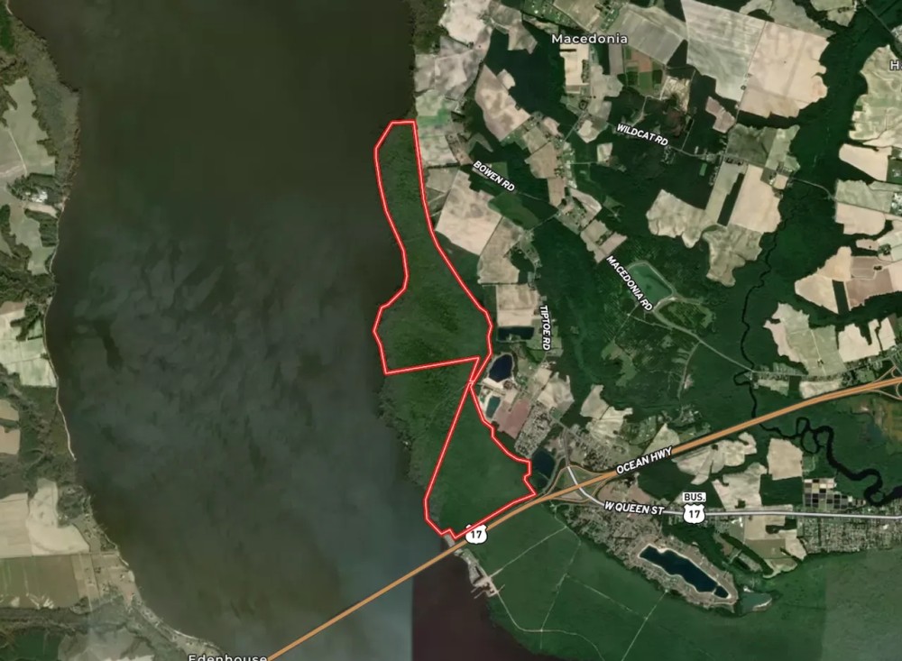 625 acre Waterfront Hunting and Timberland For Sale in Chowan County NC featured image
