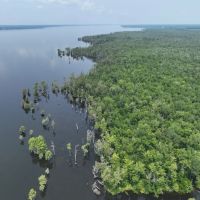 625 acre Waterfront Hunting and Timberland For Sale in Chowan County NC images 3
