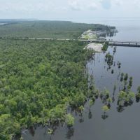 625 acre Waterfront Hunting and Timberland For Sale in Chowan County NC images 4