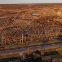 RS 47941 - 345 ac FM 2393 Clay County Dean TX