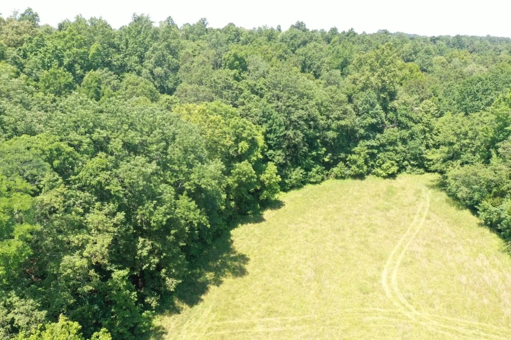 74 Acre Recreation Land with Beautiful Homesite featured image