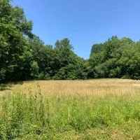 74 Acre Recreation Land with Beautiful Homesite images 2
