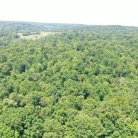 74 Acre Recreation Land with Beautiful Homesite images 4