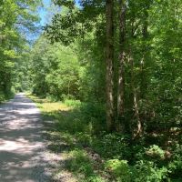 74 Acre Recreation Land with Beautiful Homesite images 5