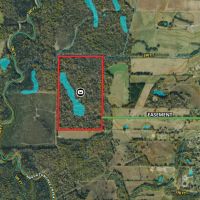 Clay County - 100 Acre Hardwood Hunting Tract images 2