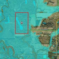 Clay County - 100 Acre Hardwood Hunting Tract images 3