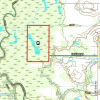 Clay County - 100 Acre Hardwood Hunting Tract images 4