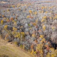 Clay County - 100 Acre Hardwood Hunting Tract images 5
