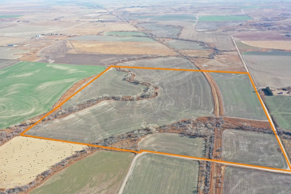 152.7 Acre Prime Farmland Hunting Land for Sale Decatur County featured image