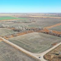 152.7 Acre Prime Farmland Hunting Land for Sale Decatur County images 2