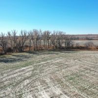 152.7 Acre Prime Farmland Hunting Land for Sale Decatur County images 3
