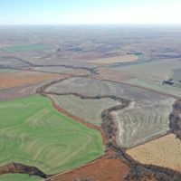 152.7 Acre Prime Farmland Hunting Land for Sale Decatur County images 4
