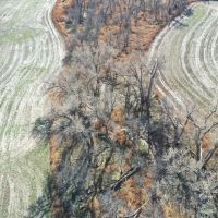 152.7 Acre Prime Farmland Hunting Land for Sale Decatur County images 5