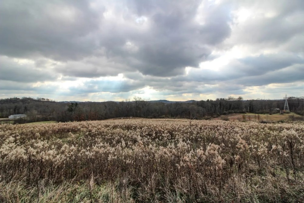 Shaver Rd - 4 acres - Muskingum County featured image