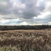 Shaver Rd - 4 acres - Muskingum County