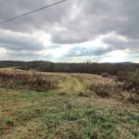 Shaver Rd - 4 acres - Muskingum County images 2