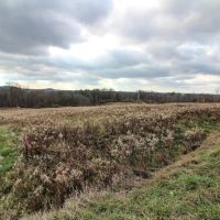 Shaver Rd - 4 acres - Muskingum County images 3