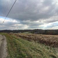 Shaver Rd - 4 acres - Muskingum County images 4