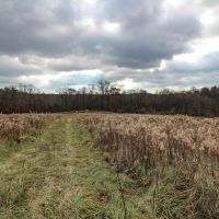 Shaver Rd - 4 acres - Muskingum County images 5