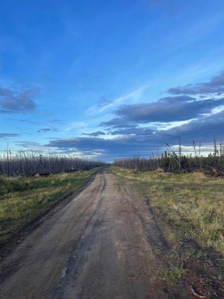 Two lots totaling 75ac with roads close to River featured image