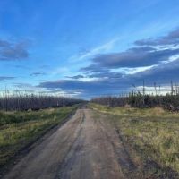Two lots totaling 75ac with roads close to River