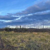 Two lots totaling 75ac with roads close to River images 2