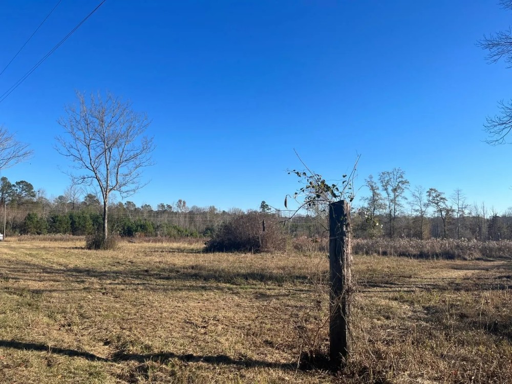 Lowndes 12 Acre Hildreth Tract featured image