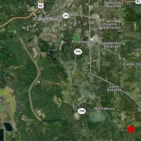 Lowndes 12 Acre Hildreth Tract images 3