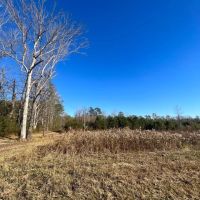 Lowndes 12 Acre Hildreth Tract images 4