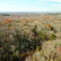 82 acres of Undeveloped Land For Sale in King George County VA images 2