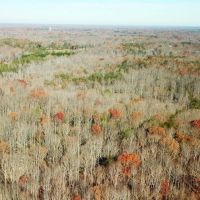 82 acres of Undeveloped Land For Sale in King George County VA images 3