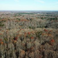82 acres of Undeveloped Land For Sale in King George County VA images 4