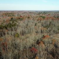 82 acres of Undeveloped Land For Sale in King George County VA images 5