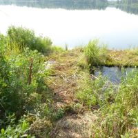 Lake Front Hunting Fishing Cabin images 3