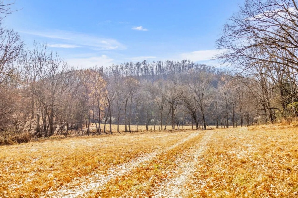 165.5 acres of prime hunting recreational land perfect for your dream home located in Marshall County Tennessee featured image