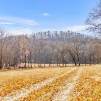 165.5 acres of prime hunting recreational land perfect for your dream home located in Marshall County Tennessee