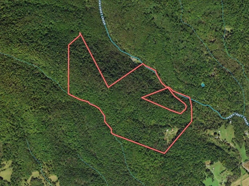 122.18 acres of Residential and Mountain Hunting Land with National Forest Access For Sale in Bedford County VA featured image