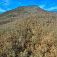 122.18 acres of Residential and Mountain Hunting Land with National Forest Access For Sale in Bedford County VA images 4
